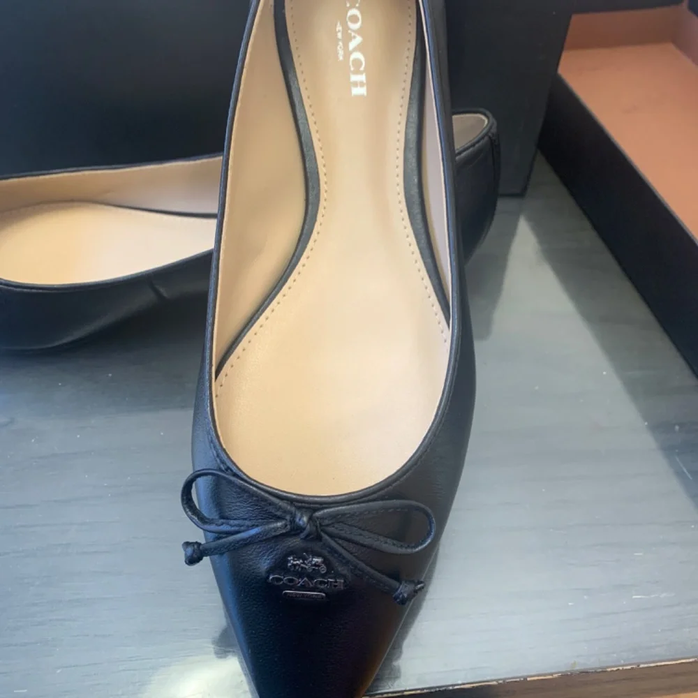 Brand new coach flat - Picture 2 of 3